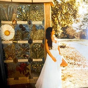 A beautiful corset jeweled wedding dress